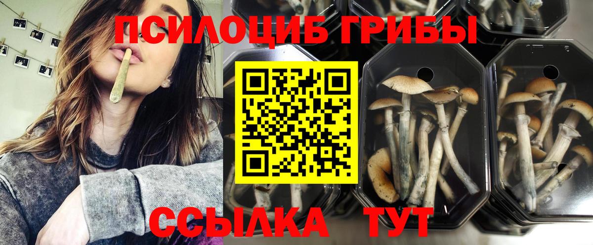 Галлюциногенные грибы MAGIC MUSHROOMS Урай