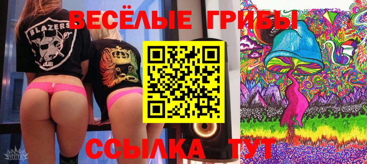 Урай  Галлюциногенные грибы Psilocybine cubensis  Вход с VPN 
